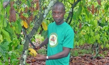 Côte d’Ivoire-Café-cacao-les enfants des planteurs : « Nous avons des soucis »