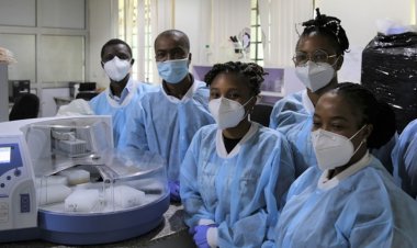 Afrique-Gestion de la covid-19 :  « Comment le renforcement des capacités a véritablement changé la donne » (Banque mondiale)