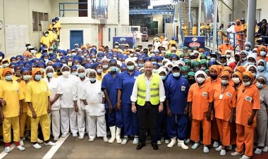 Côte d’Ivoire - Activités du thon : « le grand chômage » en embuscade !