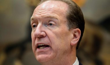 « Action climatique » :  la Banque mondiale peint « ses priorités »