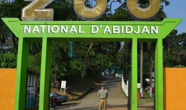 Côte d’Ivoire : le Zoo d’Abidjan booste ses valeurs attractives