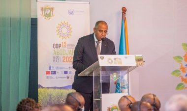 Côte d’Ivoire (Grande muraille verte) : de fortes initiatives en faveur du projet