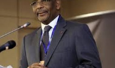 Côte d’Ivoire (Développement des entreprises) : 2 « grands accords » conclus par des  patronats africains et européens