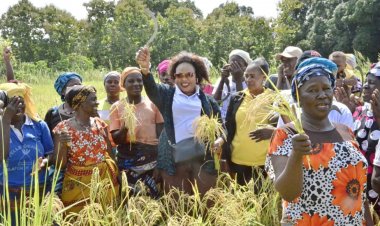Côte d’Ivoire (Journée internationale de la femme rurale) : le Rafaa récidive à Zoukougbeu