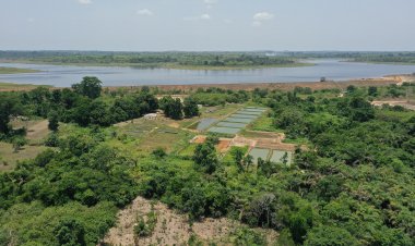 Côte d’Ivoire (Aquaculture) : Station Loka-Bouaké, un maillon essentiel dans la stratégie de développement