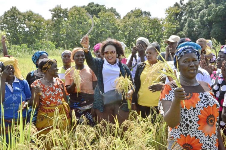 Côte d’Ivoire (Journée internationale de la femme rurale) le Rafaa récidive à Zoukougbeu L