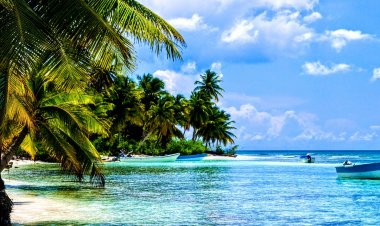 Côte d'Ivoire (Météo) : le Bulletin du 06 février 2023 (Sodexam)