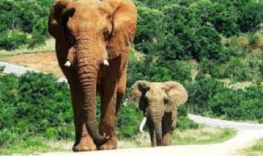 Côte d'Ivoire (Météo) : le Bulletin du 27 mars 2023 (Sodexam)