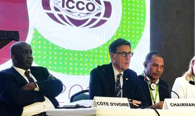 Côte d’Ivoire (Industrie cacaoyère) / « Faire de l’ICCO, un espace privilégié de dialogue » (Rafael Soriano, nouveau président)