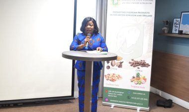 Côte d’Ivoire (Entrepreneuriat) / L’ambassade ivoirienne au Royaume-Uni présente les opportunités d’investissements