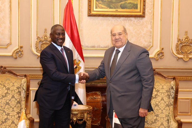 Côte d'Ivoire-Égypte (Coopération parlementaire) / Adama Bictogo opte une redynamisation gagnante