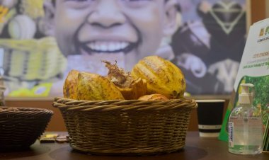 France (Salon du chocolat) / Paris, la Côte d’Ivoire brille au festival de la gastronomie sucrée