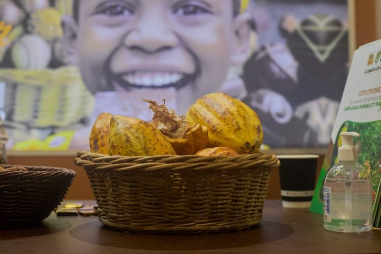 France (Salon du chocolat) / Paris, la Côte d’Ivoire brille au festival de la gastronomie sucrée