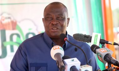 Côte d’Ivoire (Amélioration de la vie des paysans) / Adjoumani préconise la diversification des sources de revenus