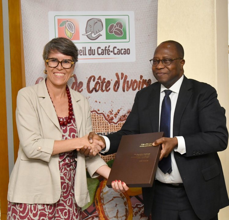 Côte d’Ivoire (Cacaoculture) / Le Brésil sollicite l’expertise ivoirienne