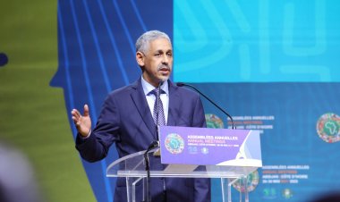 Côte d’Ivoire (AA 2025, Abidjan) / BAD : Sidi Ould Tah, nouveau président, « prêt pour le travail !»
