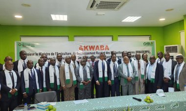 Côte d’Ivoire (Agriculture) / CNRA : Bruno Koné félicite la direction générale pour la qualité du travail