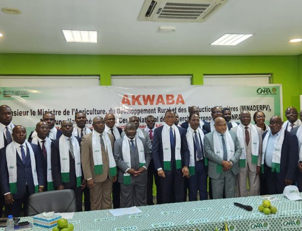 Côte d’Ivoire (Agriculture) / CNRA : Bruno Koné félicite la direction générale pour la qualité du travail