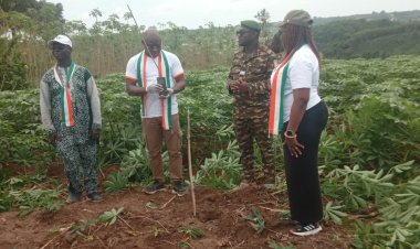 Côte d’Ivoire (Environnement) / Edissou Évents initie une journée de reboisement à la réserve naturelle d’Aghien