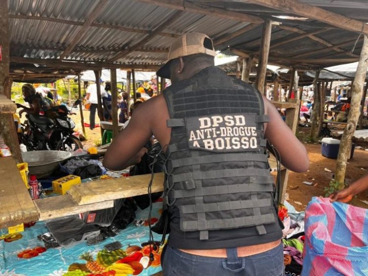 Côte d’Ivoire (Opération Épervier 11) / Sud-Comoé : environ une tonne de médicaments falsifiés saisie